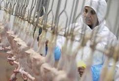 در انگلیس، غیر مسلمانان هم گوشت حلال می خورند